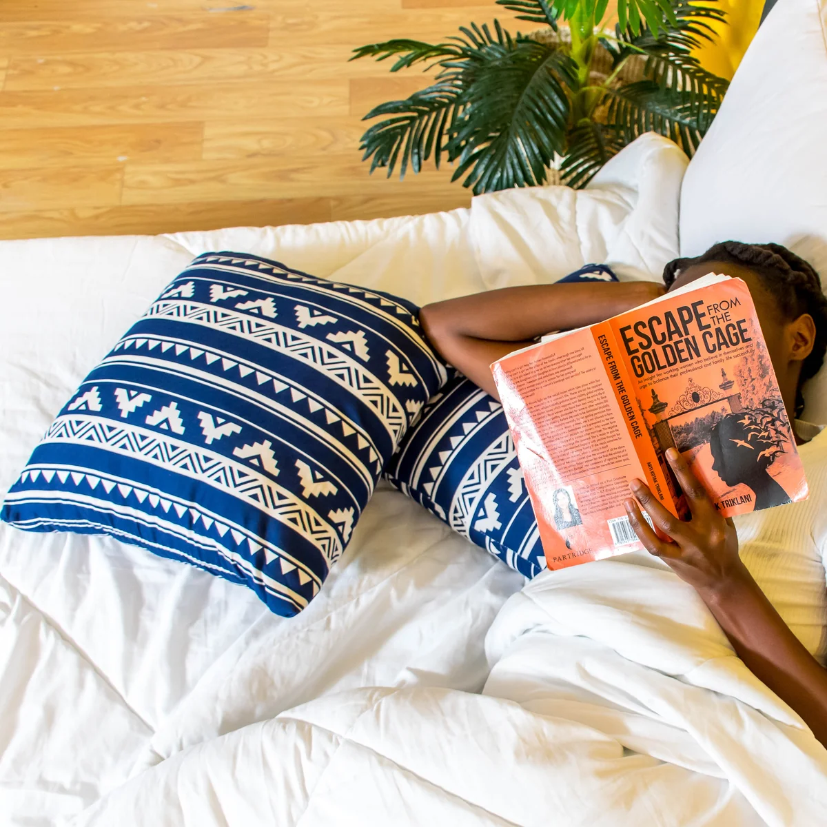 Throw Pillows photo